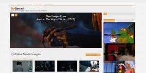 FanCaps.net
